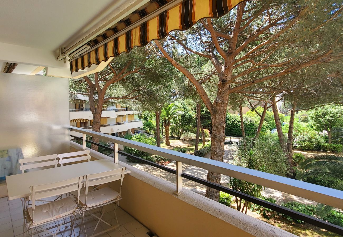 Studio in Fréjus - FREJUS PLAGE La Miougrano Studio 25m2 Swimming Pool 300m From the Beaches Balcony on the Garden 2 People