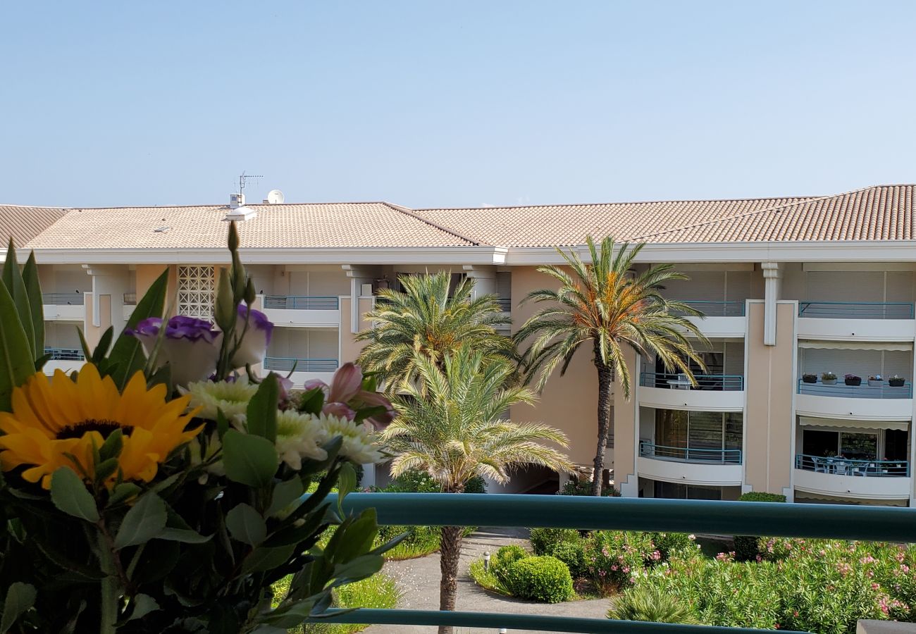 Apartment in Fréjus - Port-Frejus, Open, 2 rooms, 42m2, air conditioning, balcony overlooking the pool and garden, parking