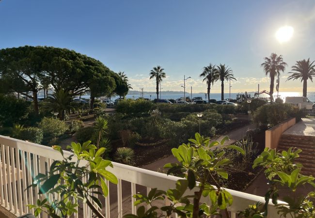  in Fréjus - Fréjus Plage, Le Méditerranée, Large T2, 56 m2, 4 people, Sea View