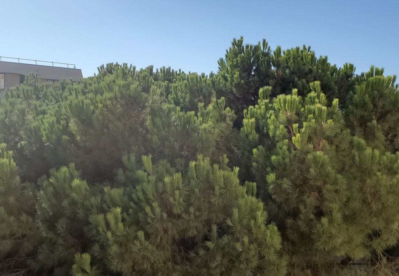 Appartamento a Fréjus - Fréjus Plage, La MIOUGRANO, bellissimo appartamento di 3 locali, 5 persone, ampio balcone, box nel seminterrato, ricercata residenza con piscina