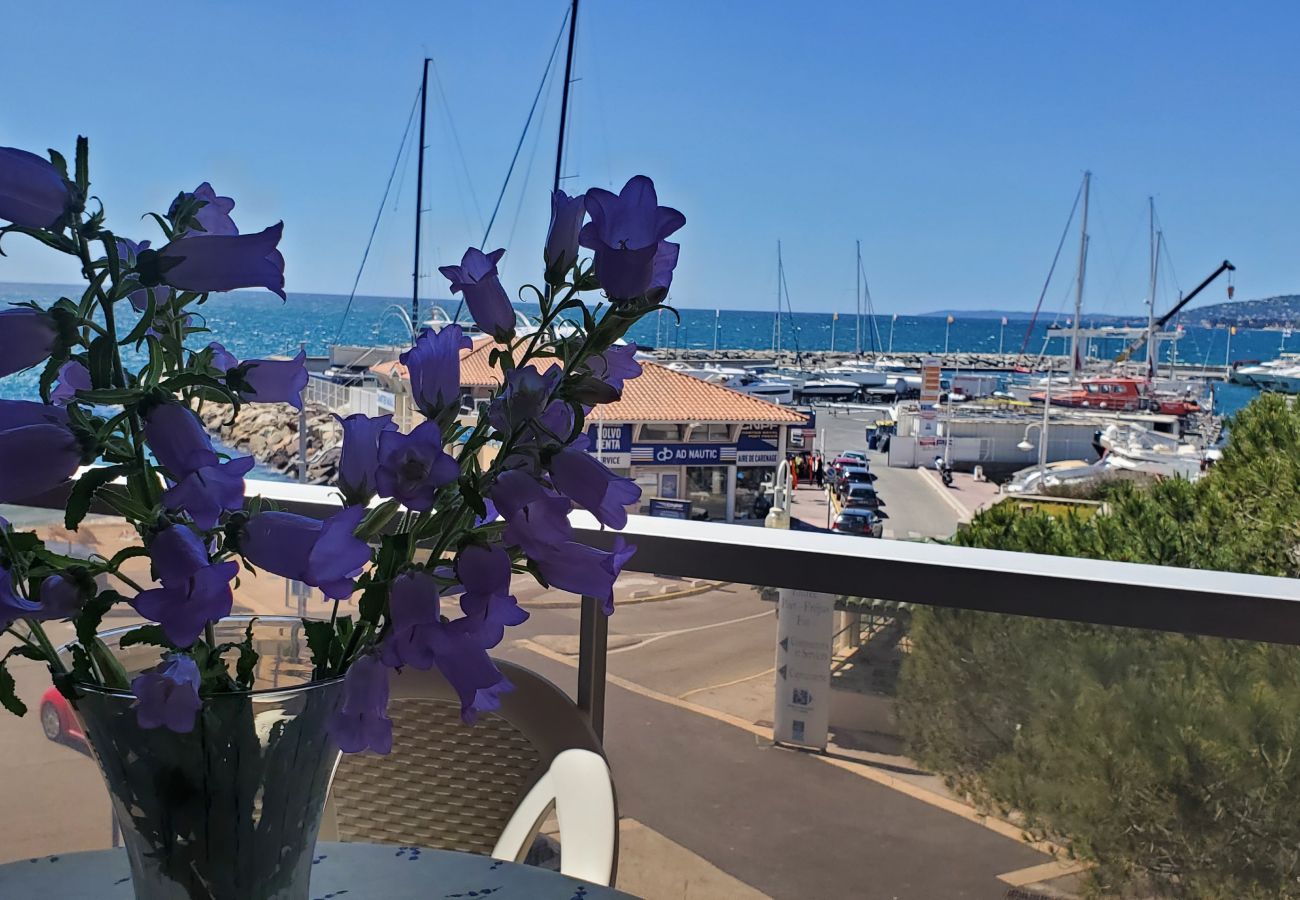 Studio à Fréjus - LE CAPITOLE, Vue mer, Studio cabine 27m2 les pieds dans l'eau, 2 adultes, 2 enfants, clim et garage